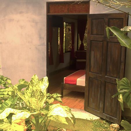 Cabanas Colibri Tayutic Τουριάλμπα Εξωτερικό φωτογραφία