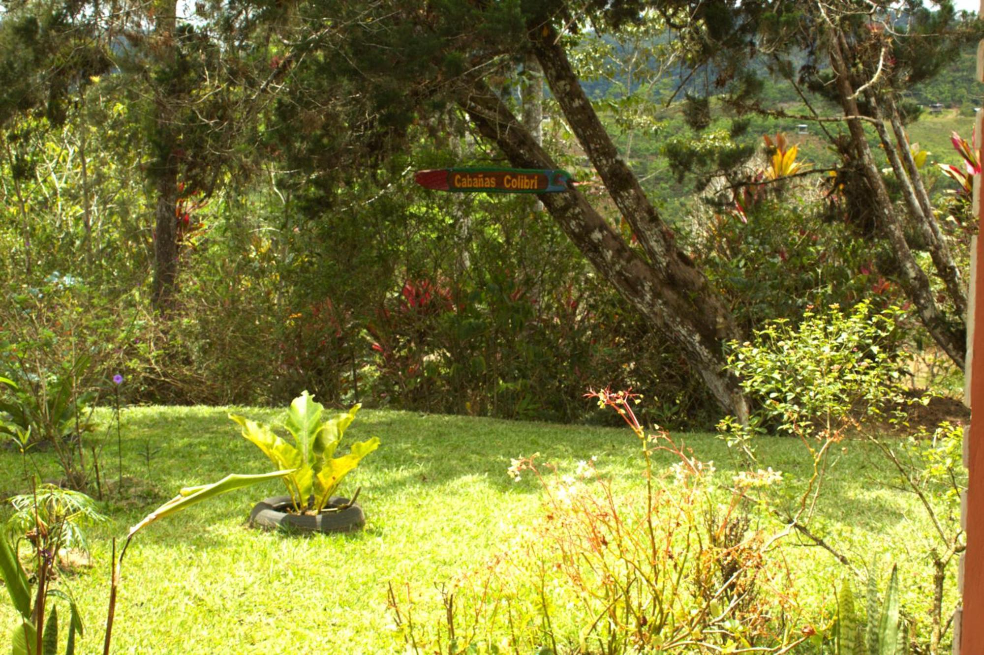 Cabanas Colibri Tayutic Τουριάλμπα Εξωτερικό φωτογραφία